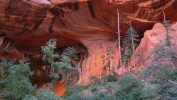 PICTURES/Zion National Park - Yes Again/t_Double Arch Alcove12.JPG